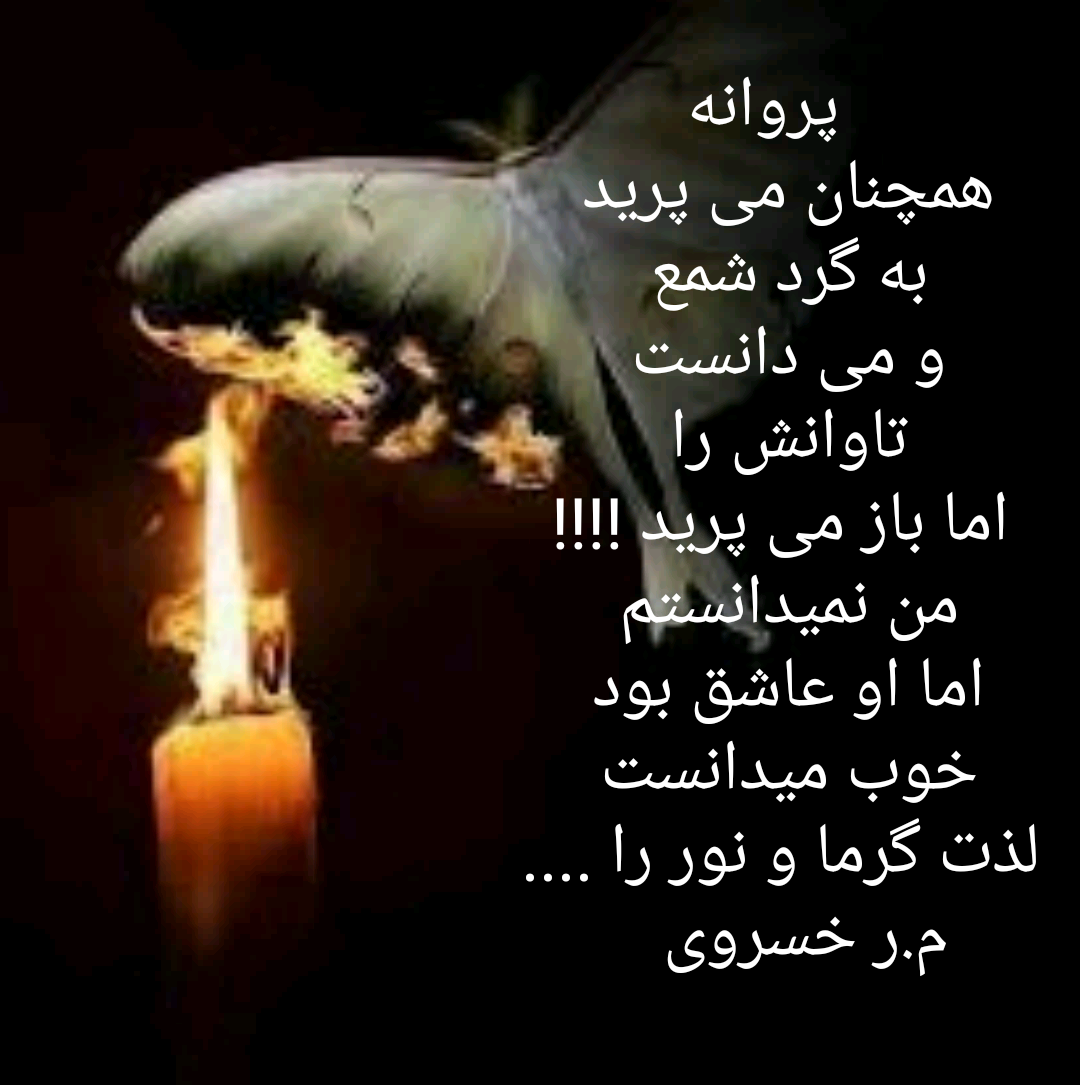 quote 1520781331958